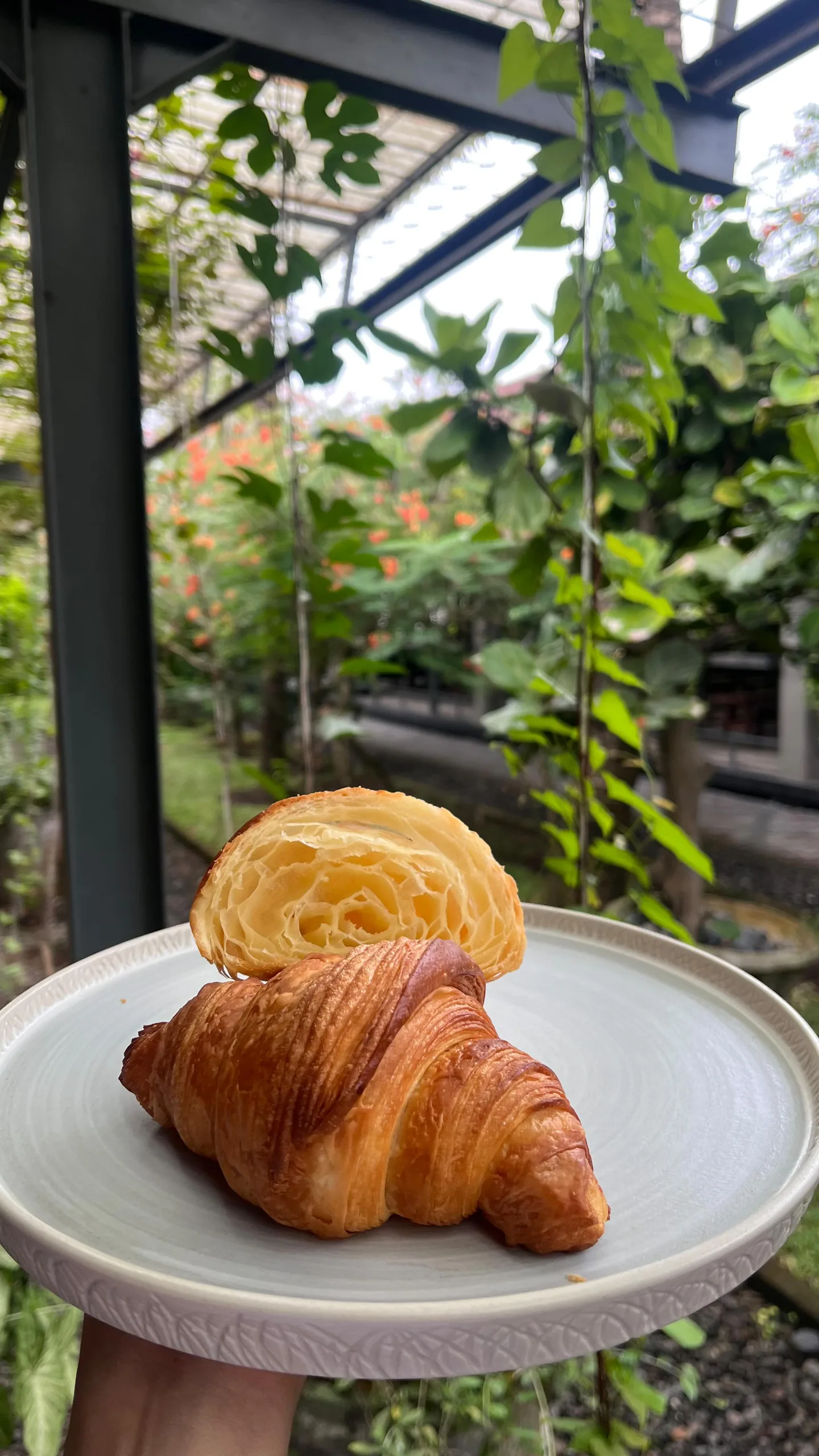 Little Bakery croissant