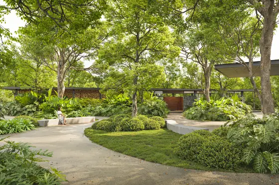 Botanical Bliss — a planted courtyard walk