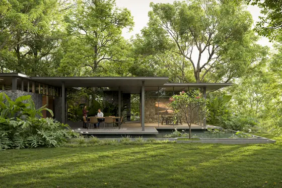 Elevated Experience — a low pavilion set into deep lawn
