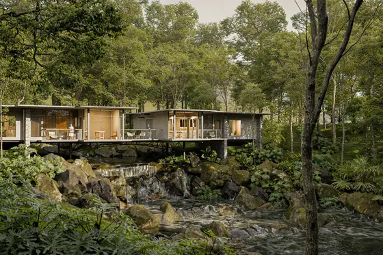 Restorative Realms — a timber retreat among the trees